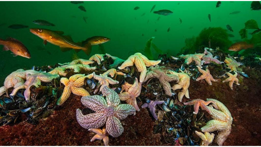 fishing thunderonthegulf